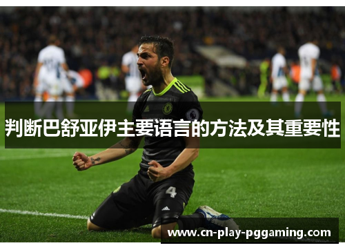 判断巴舒亚伊主要语言的方法及其重要性