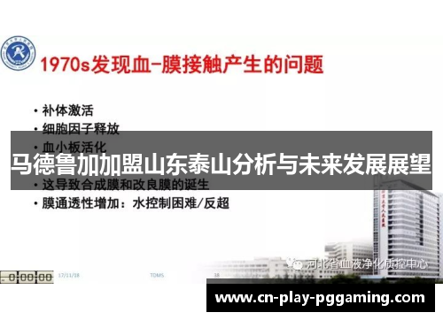 马德鲁加加盟山东泰山分析与未来发展展望